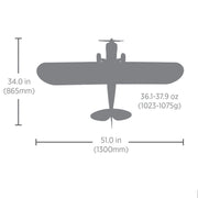 HobbyZone Carbon Cub S 2 1.3m Cleetus McFarland Special Edition RTF Basic RC Airplane