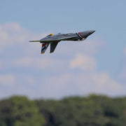 E-flite F-14 Tomcat Twin 40mm EDF Jet