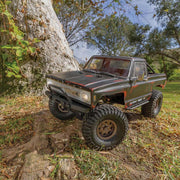 1/10 Enduro Trailwalker RTR Trail Truck
